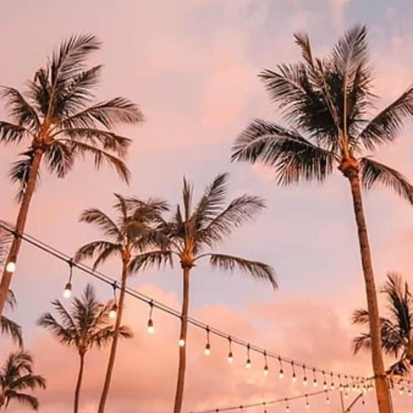 Meet your Posher, Madeline - Picture 1 of 1